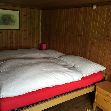 Wohlfuehloase Fuer Mensch Und Hund Bed & Breakfast Uzwil Exterior photo