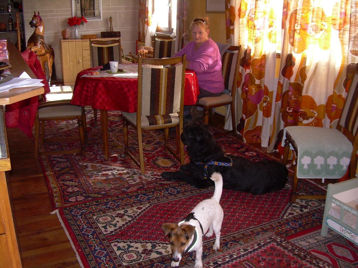 Wohlfuehloase Fuer Mensch Und Hund Bed & Breakfast Uzwil Exterior photo