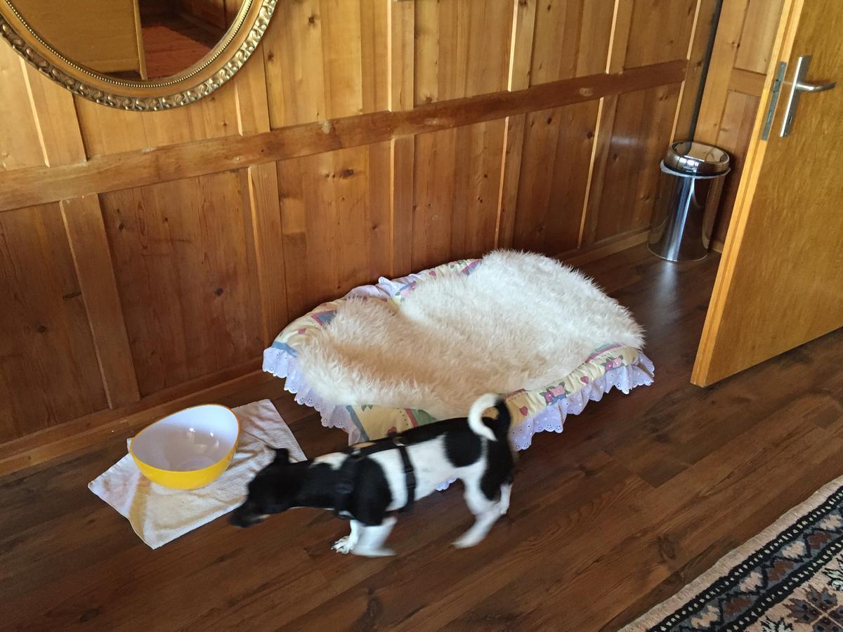 Wohlfuehloase Fuer Mensch Und Hund Bed & Breakfast Uzwil Exterior photo