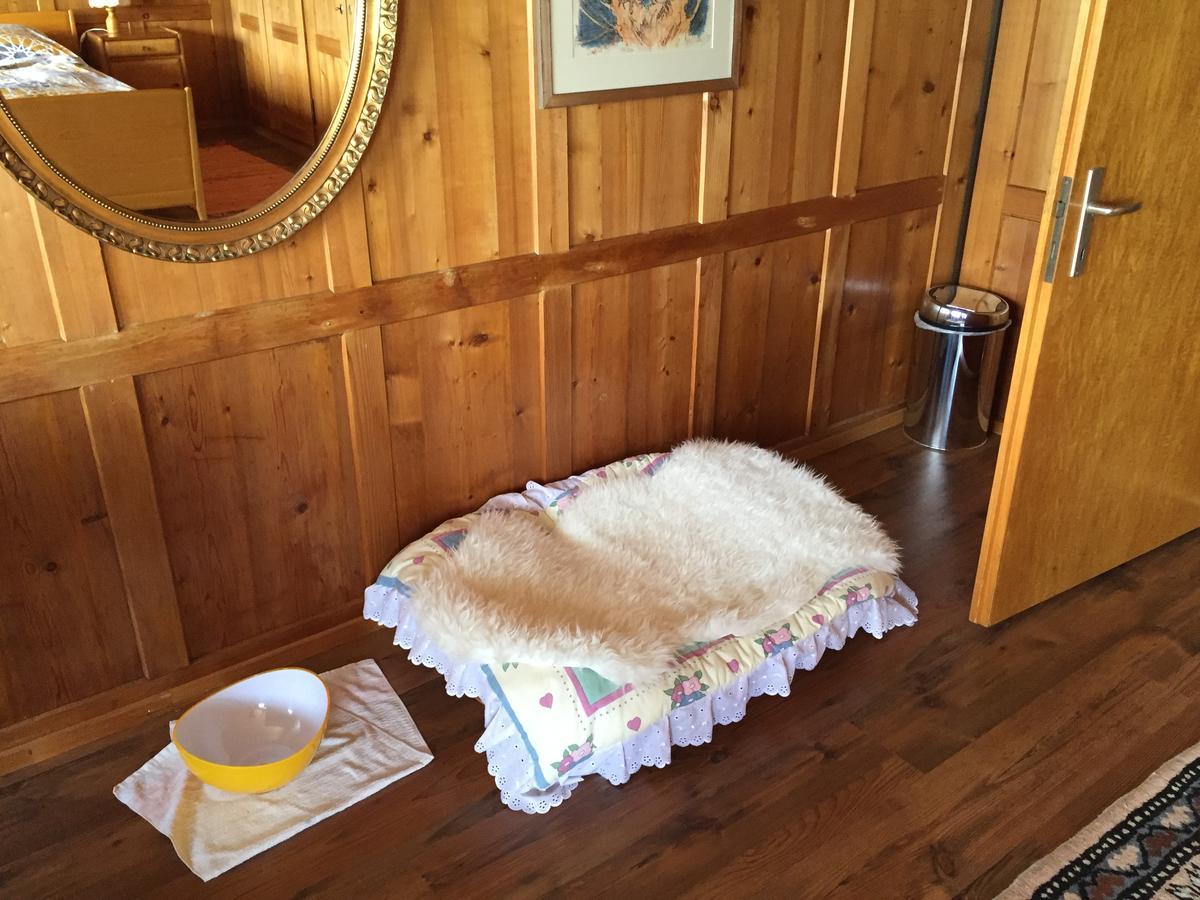 Wohlfuehloase Fuer Mensch Und Hund Bed & Breakfast Uzwil Exterior photo